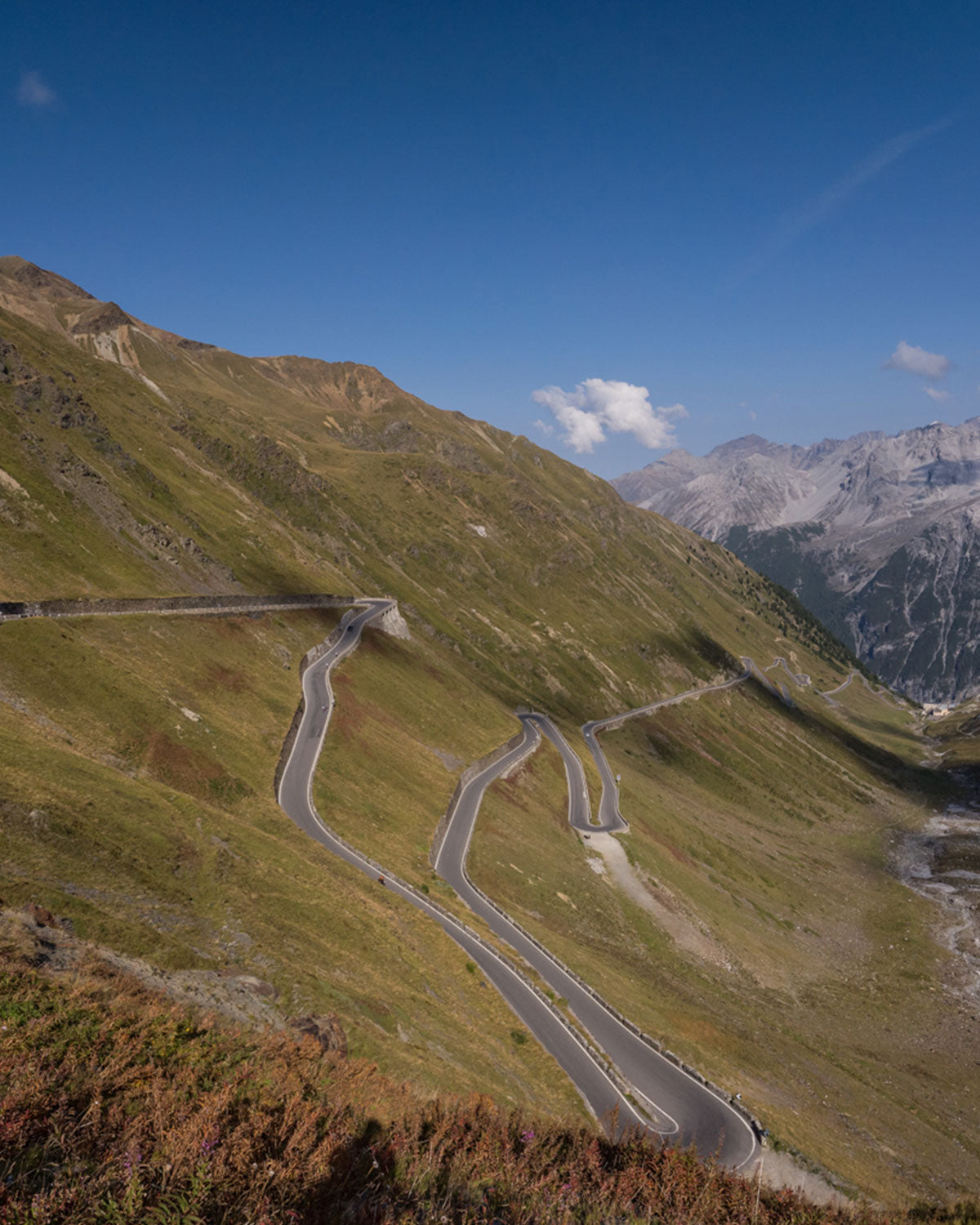 The Stelvio Escape - July 2024