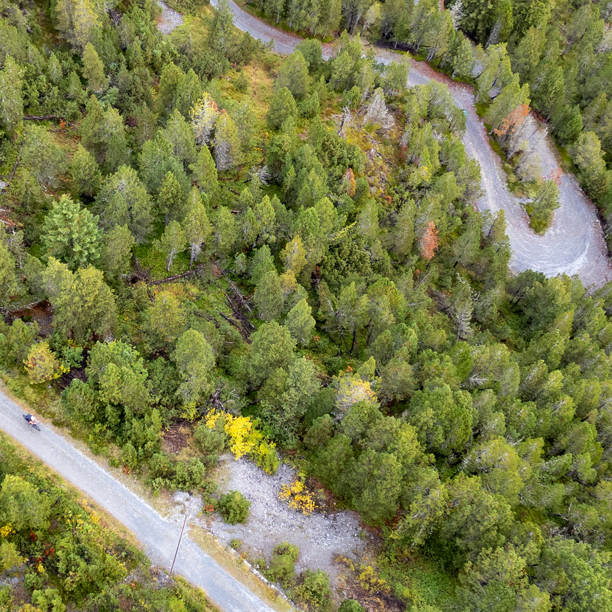 boc gravel bike BoC Alpine Gravel Raid 2026